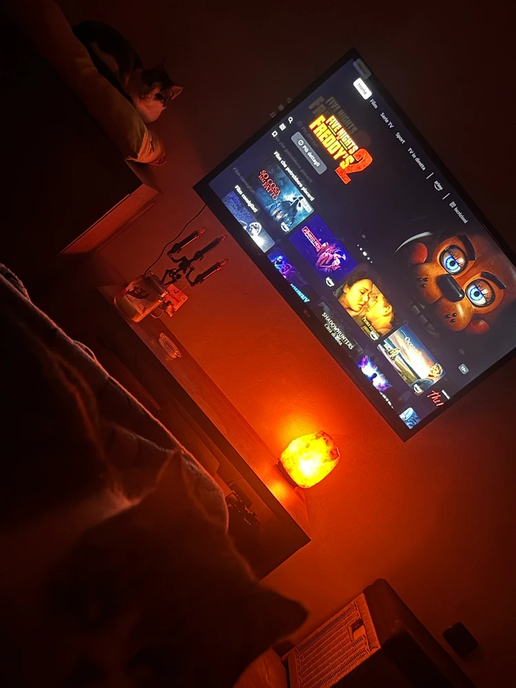 GIF caricata da Disastro