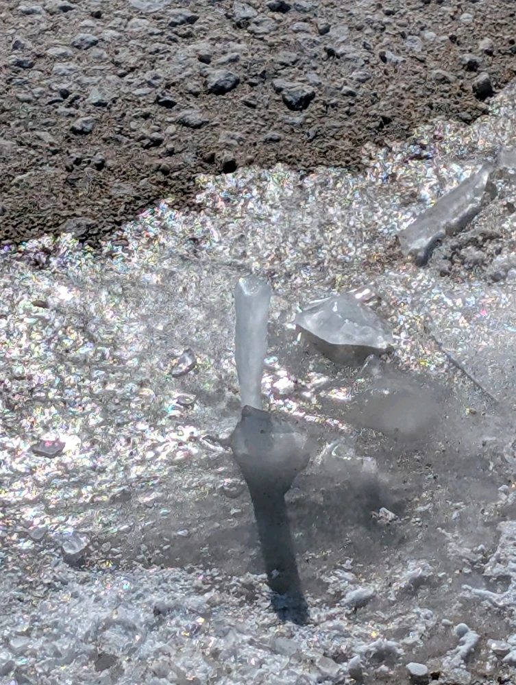 Image uploaded by Kevin