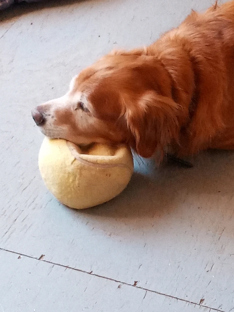 GIF uploaded by Brooke