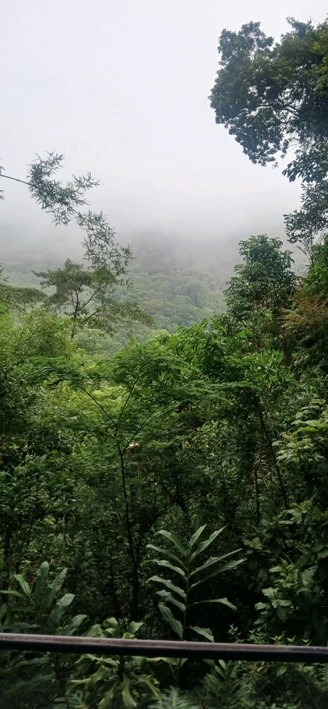 Imagem enviada por Diego Mury