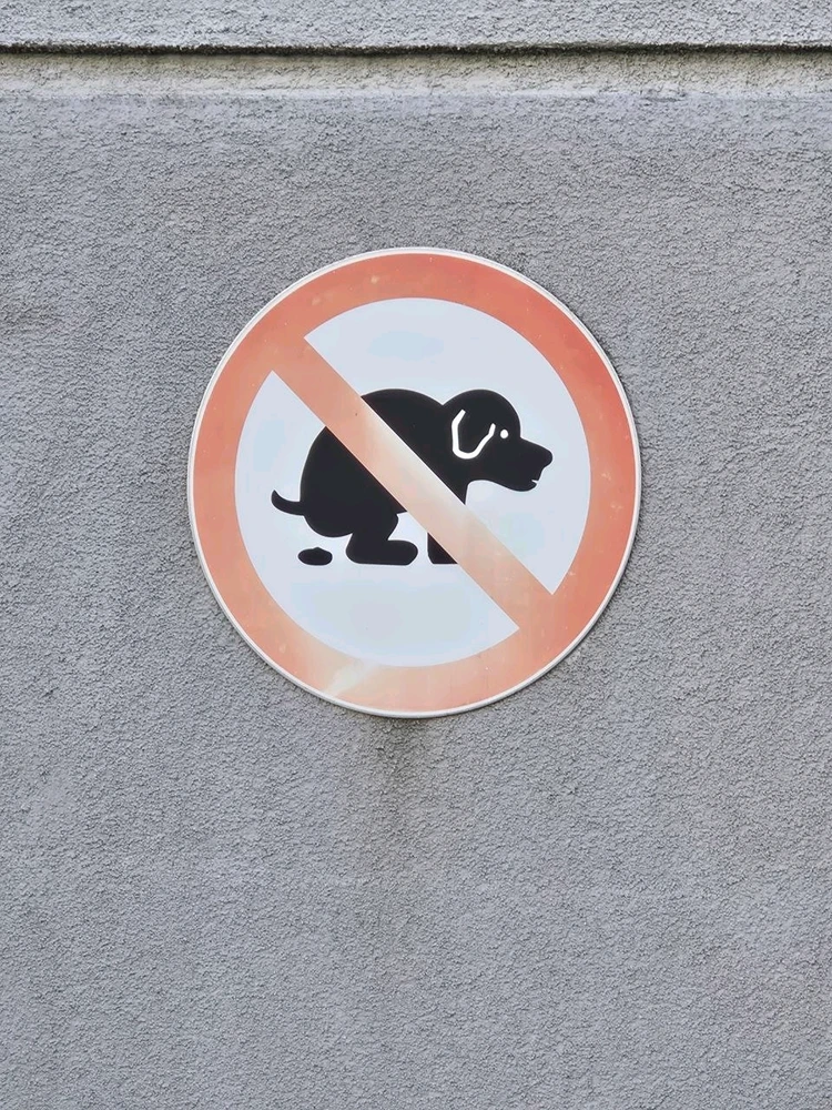 Image uploaded by Vit