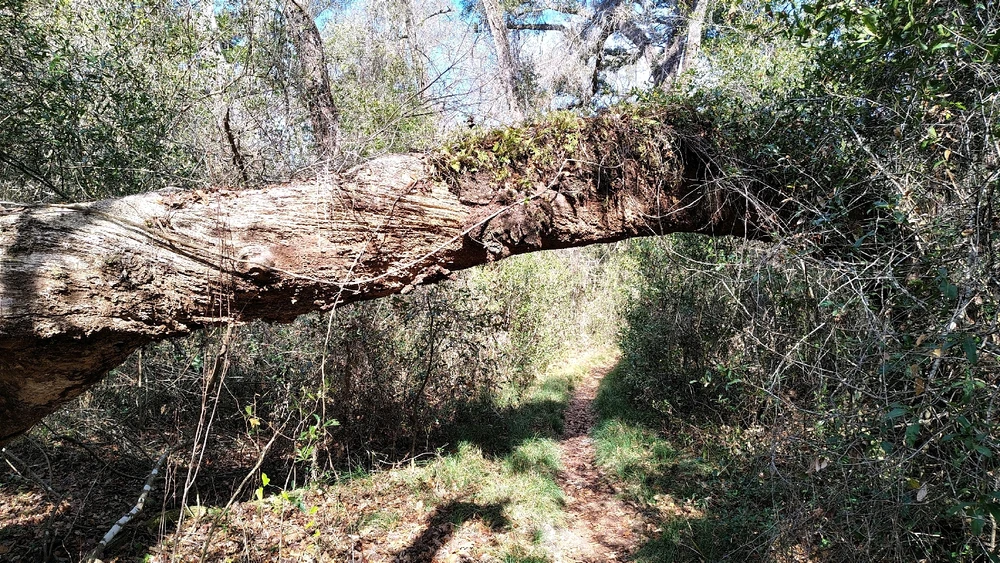 Image uploaded by Joe