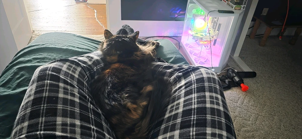 GIF uploaded by Anthony