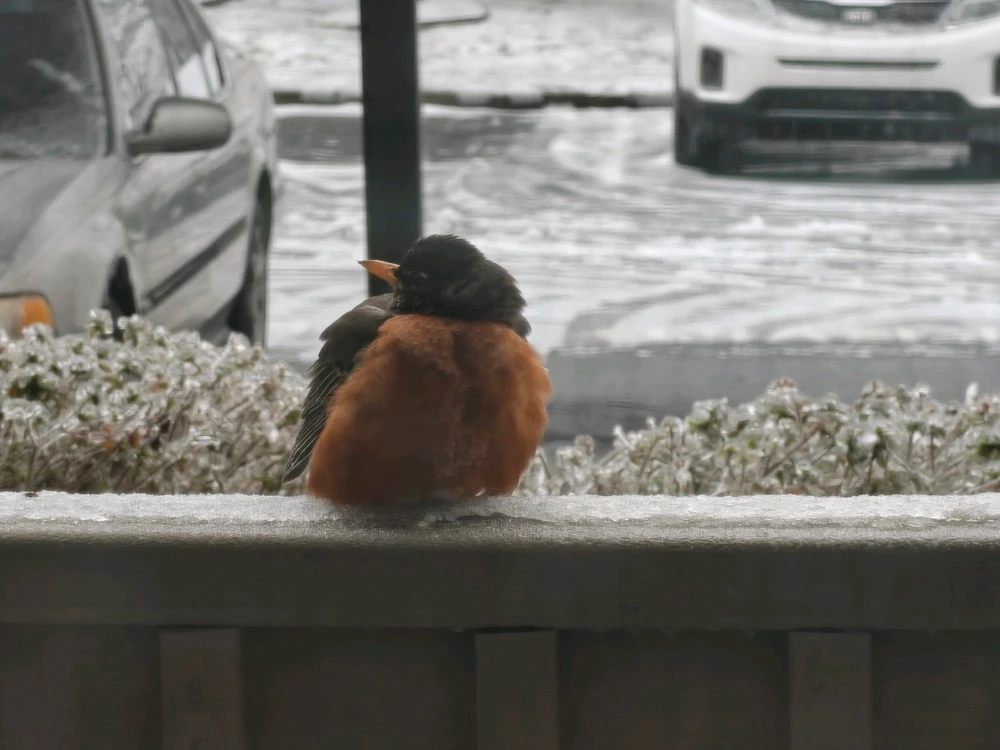 Image uploaded by Joseph