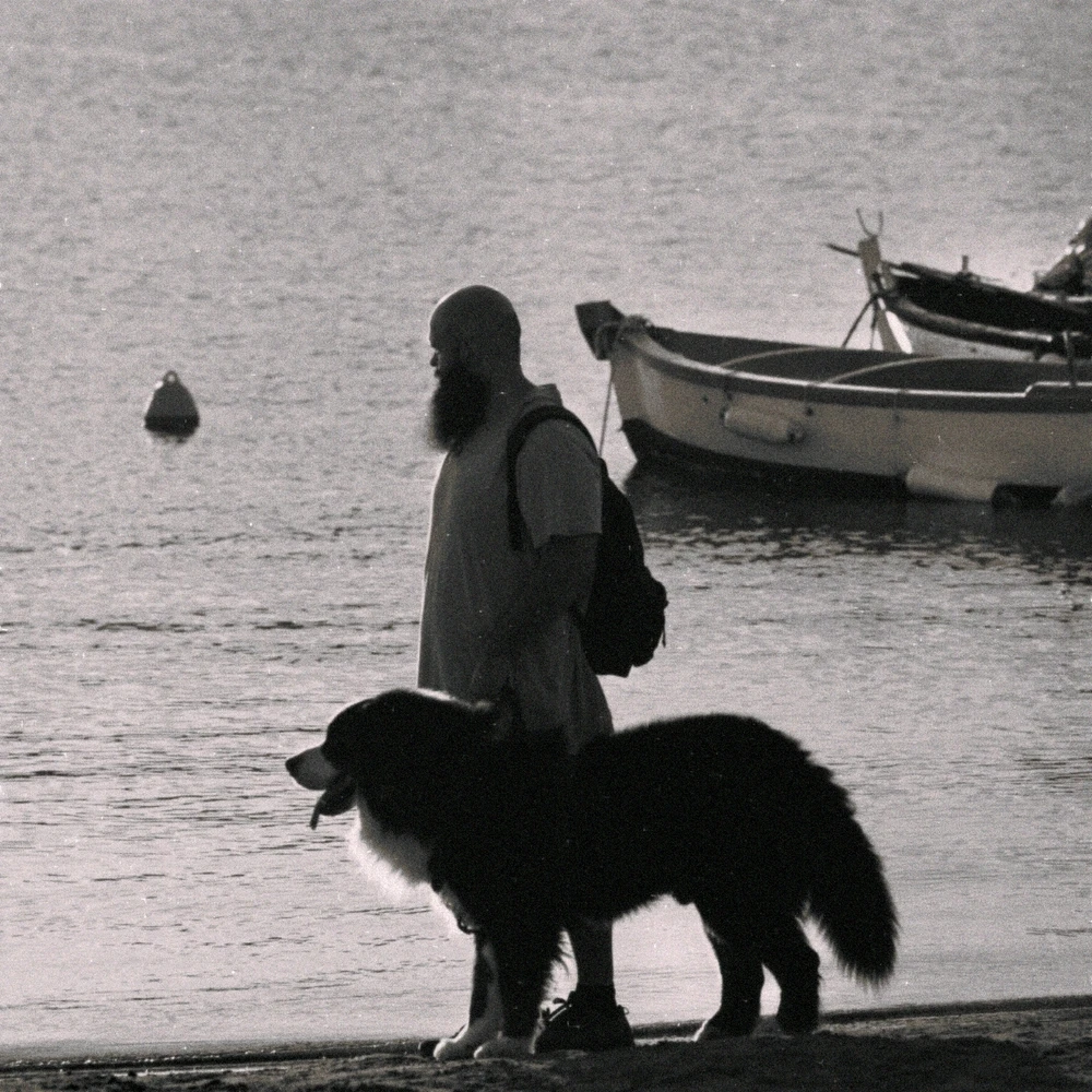 GIF caricata da Stefano