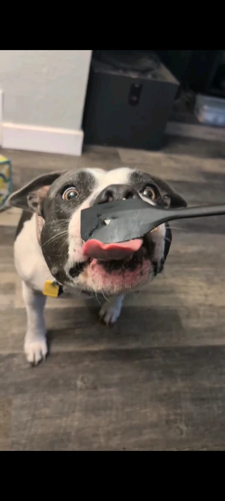 Image uploaded by Uwuie