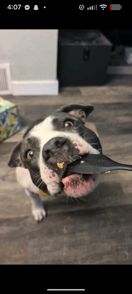 Image uploaded by Uwuie