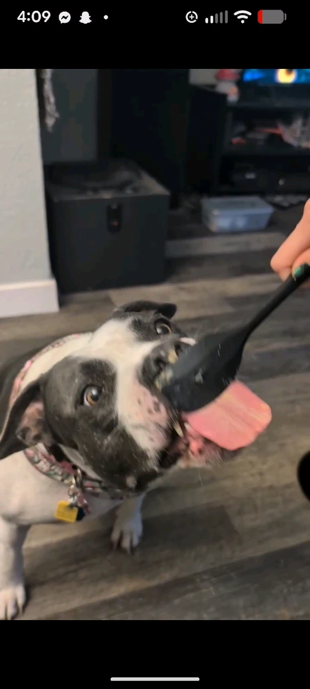 Image uploaded by Uwuie