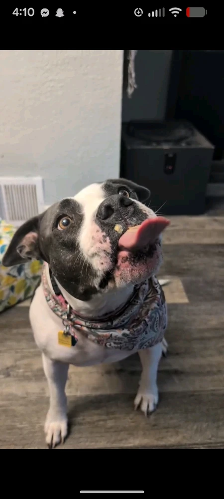 Image uploaded by Uwuie