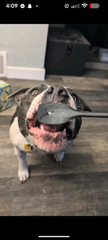 Image uploaded by Uwuie