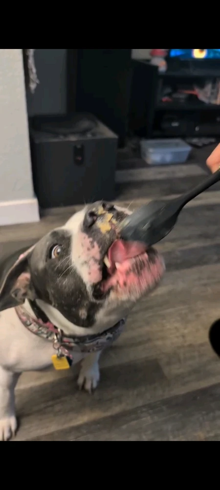 Image uploaded by Uwuie