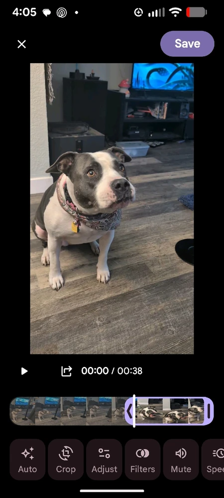 Image uploaded by Uwuie