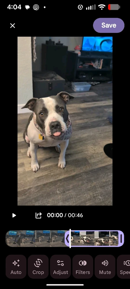 Image uploaded by Uwuie