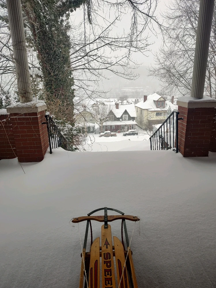 GIF uploaded by Dandan; Not Not Dan.. The Real Dan. What is a Dan?