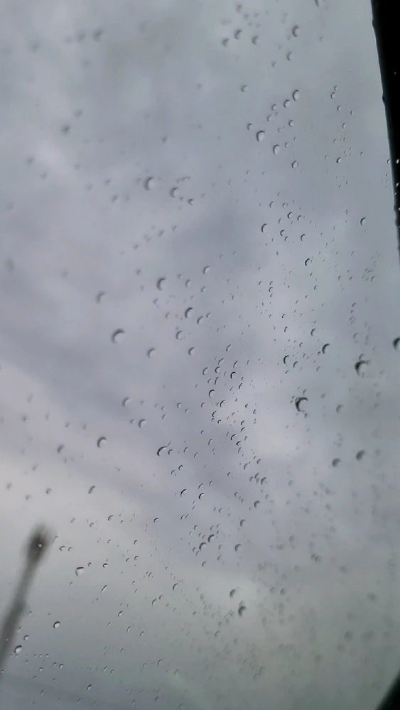 GIF subido por Rocio