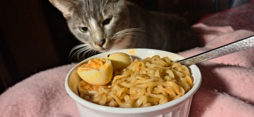 Gambar diunggah dening QueenOfTheHyl