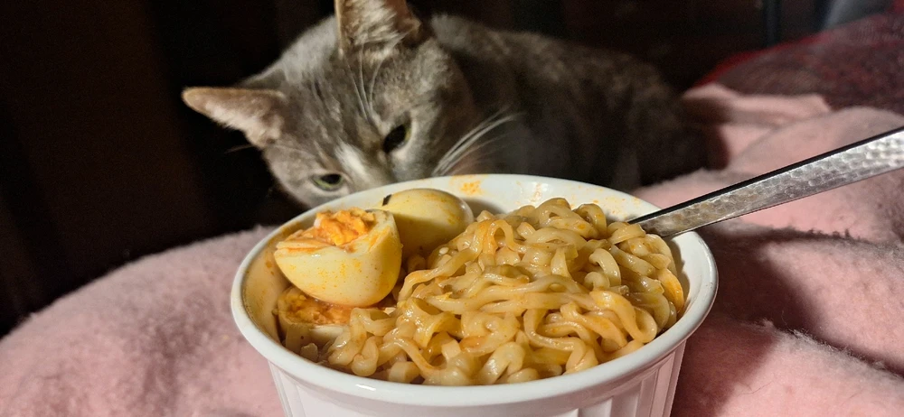 Gambar diunggah dening QueenOfTheHyl