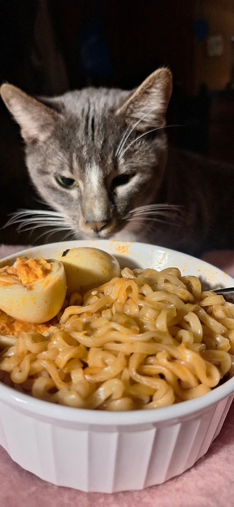 Gambar diunggah dening QueenOfTheHyl