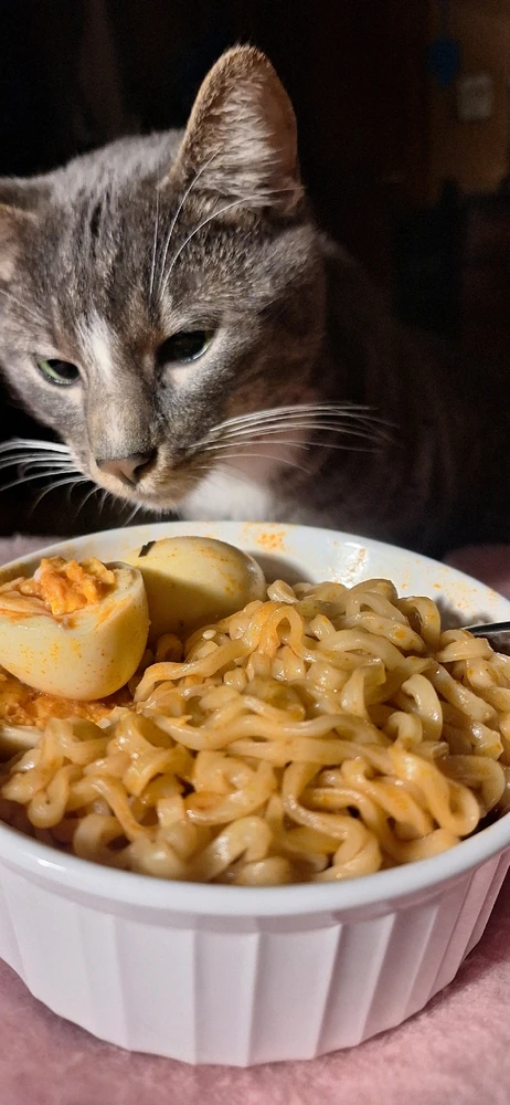 Gambar diunggah dening QueenOfTheHyl