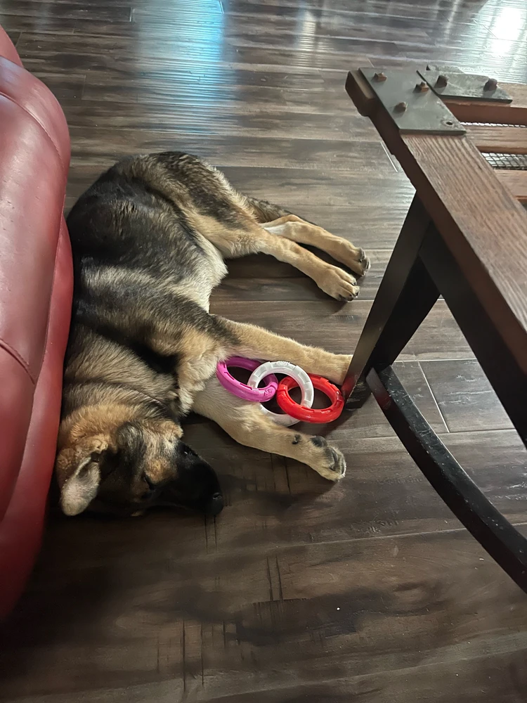 Image uploaded by ジョシー