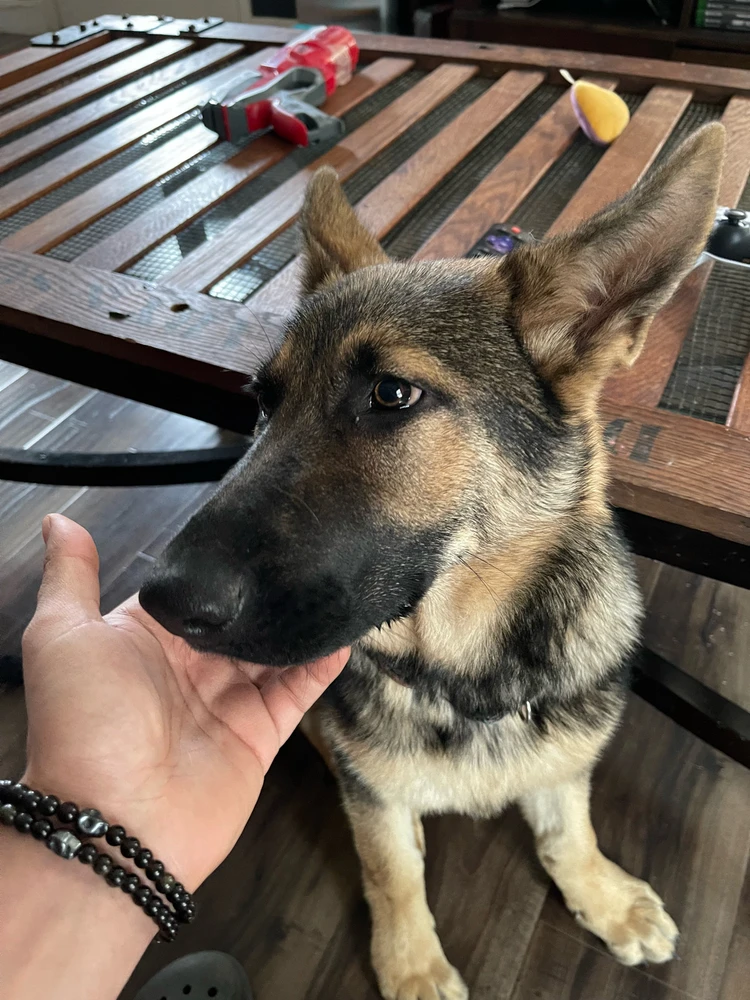 Image uploaded by ジョシー