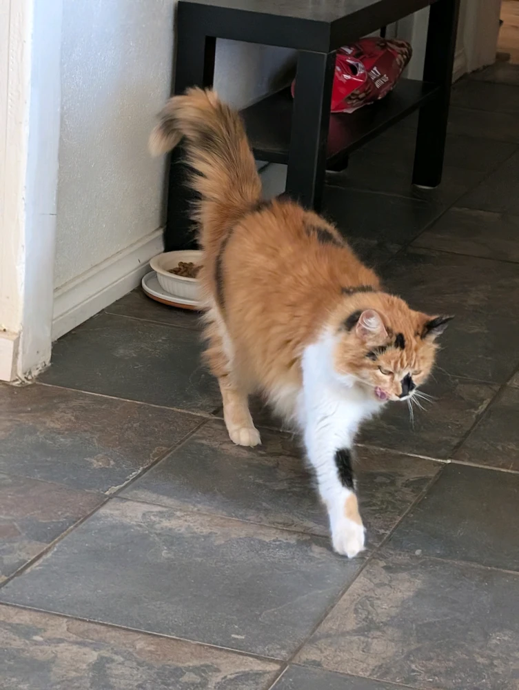 GIF uploaded by Kross