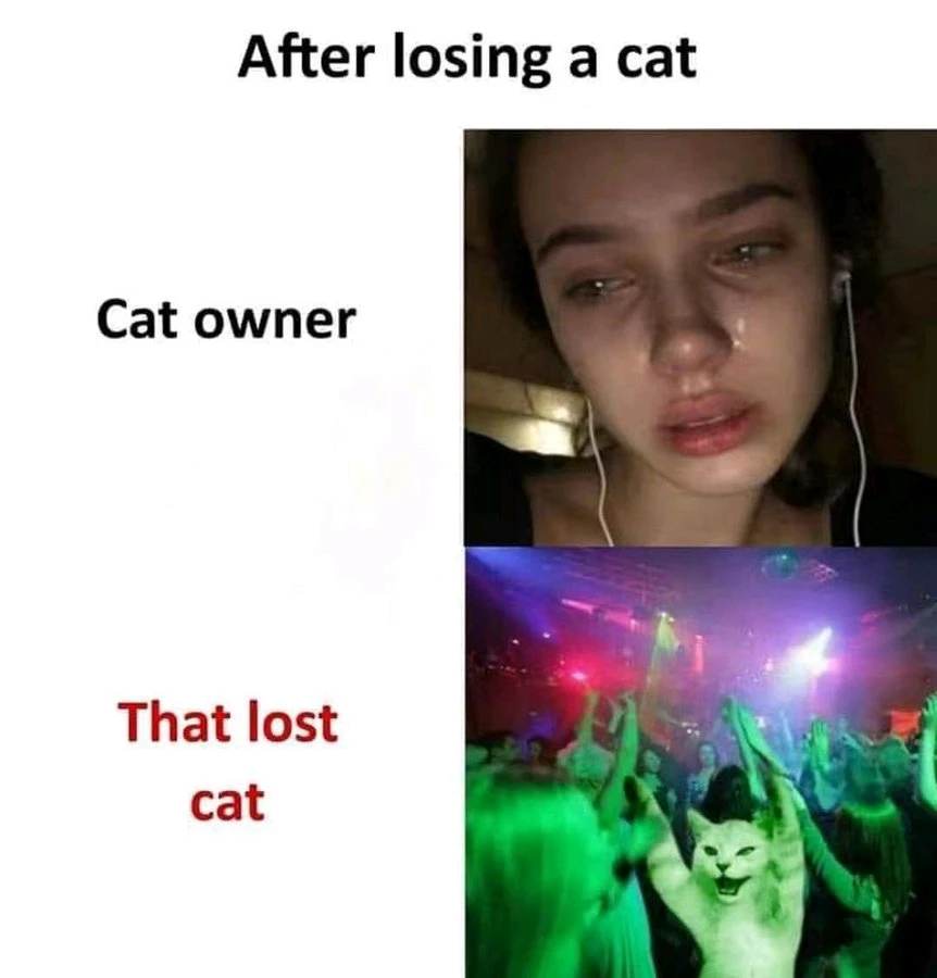 GIF uploaded by Tamilโจ