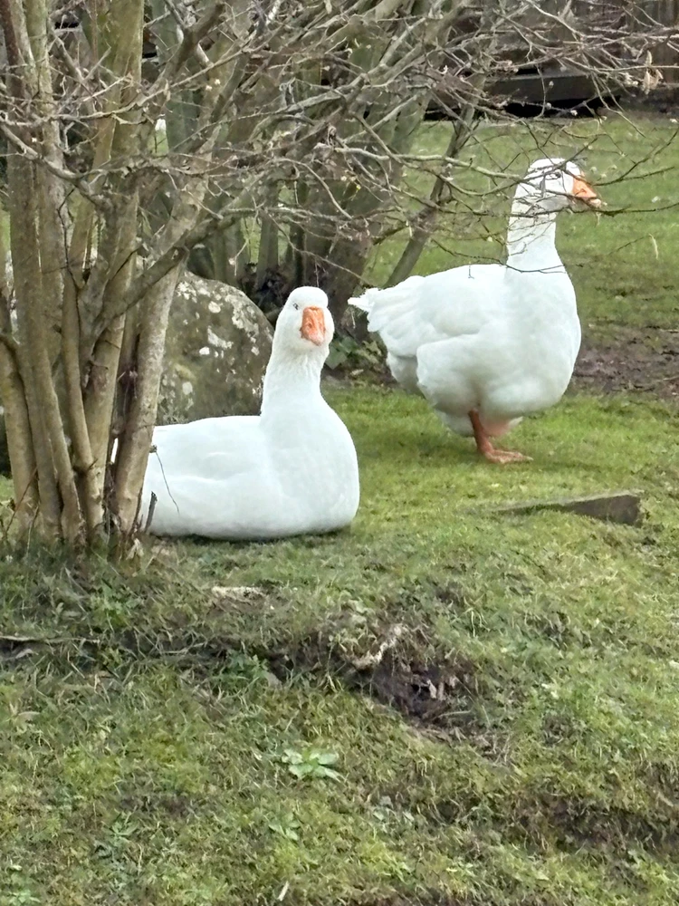 GIF uploaded by James