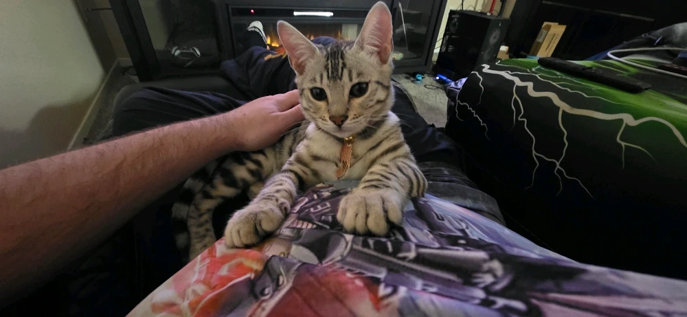 Image uploaded by Orion Sumrall