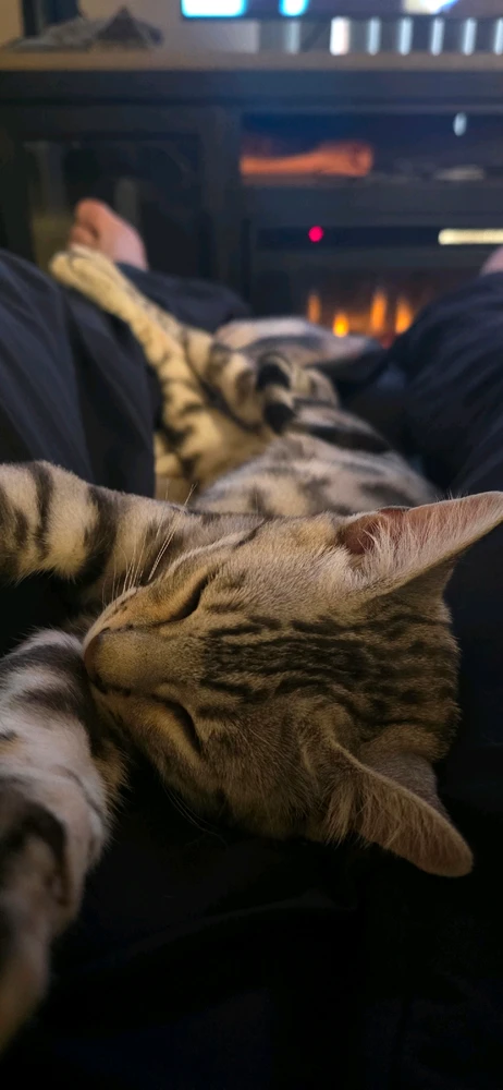 Image uploaded by Orion Sumrall