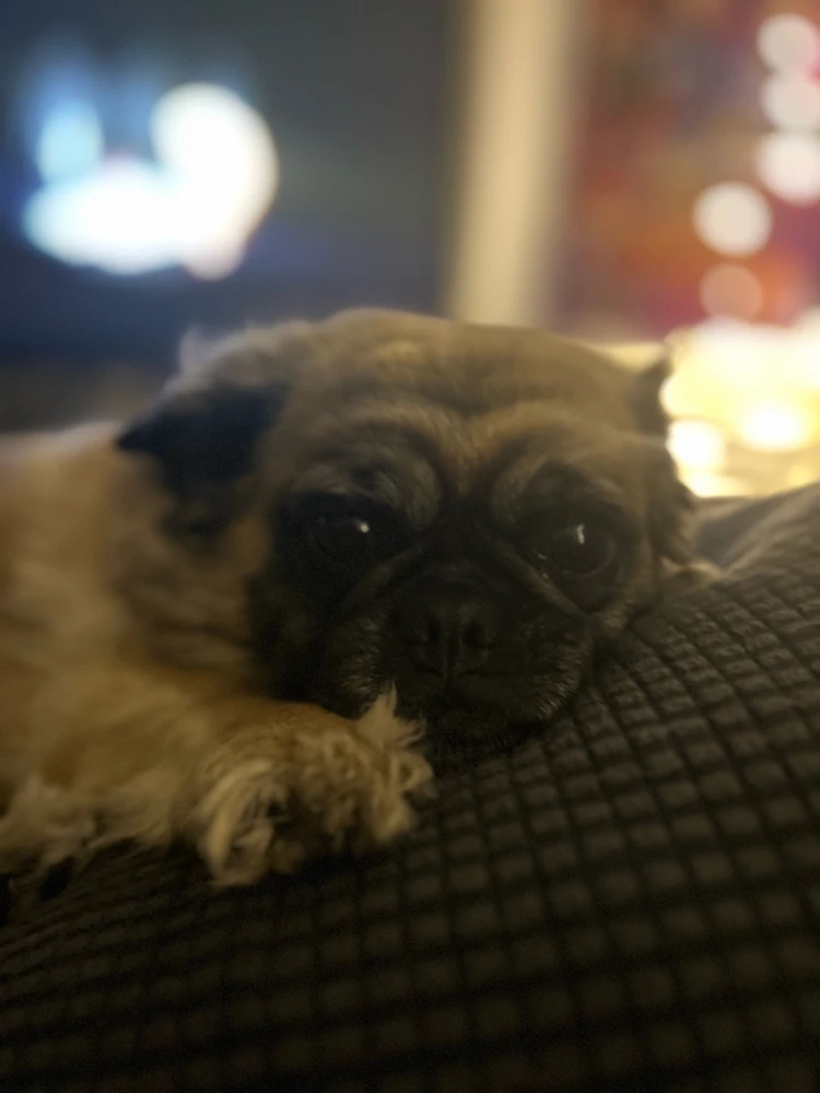 GIF diunggah dening Amanda