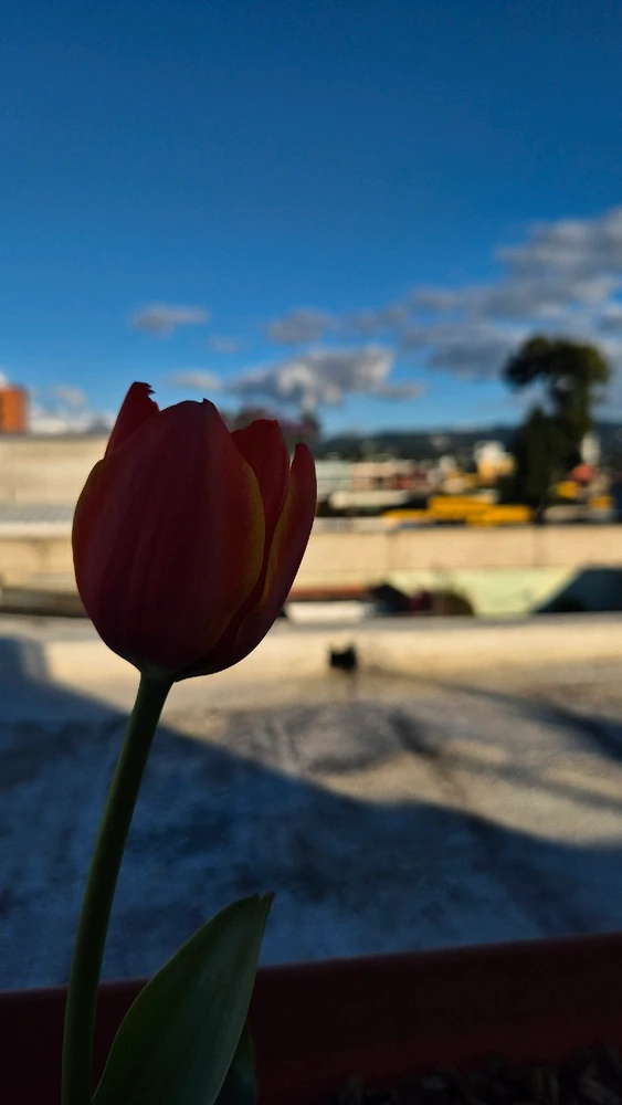 Image uploaded by Liz