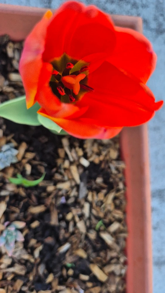 Image uploaded by Liz