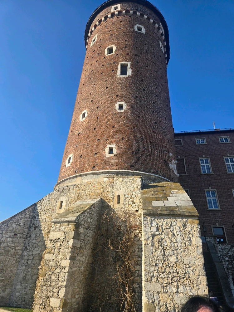 Image uploaded by Jonathon