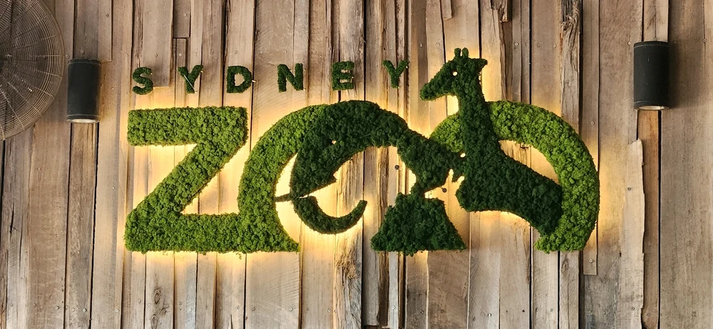 Image uploaded by Wayne