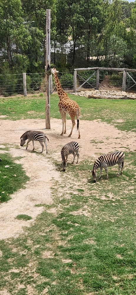 Image uploaded by Wayne