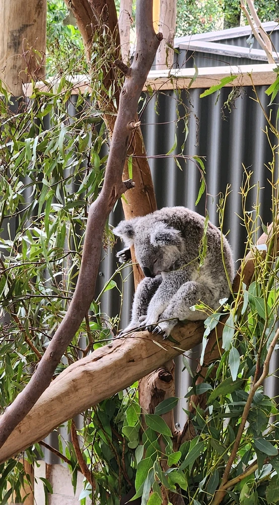 Image uploaded by Wayne