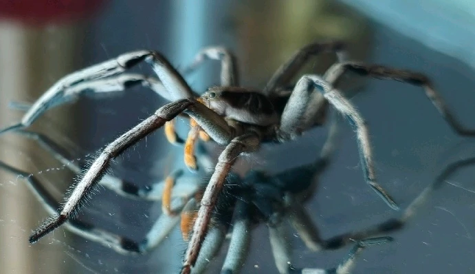 Imagem enviada por Luan