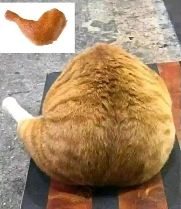 GIF uploaded by Dragoness