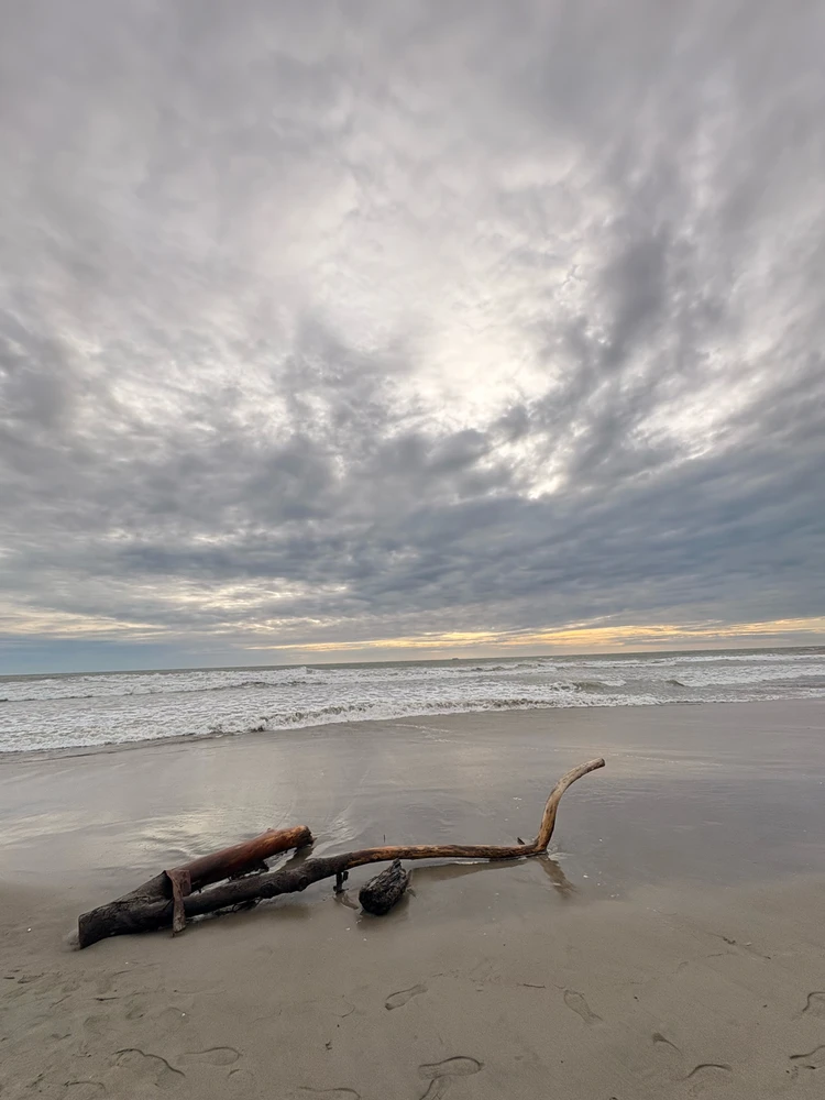 GIF diunggah oleh Vii