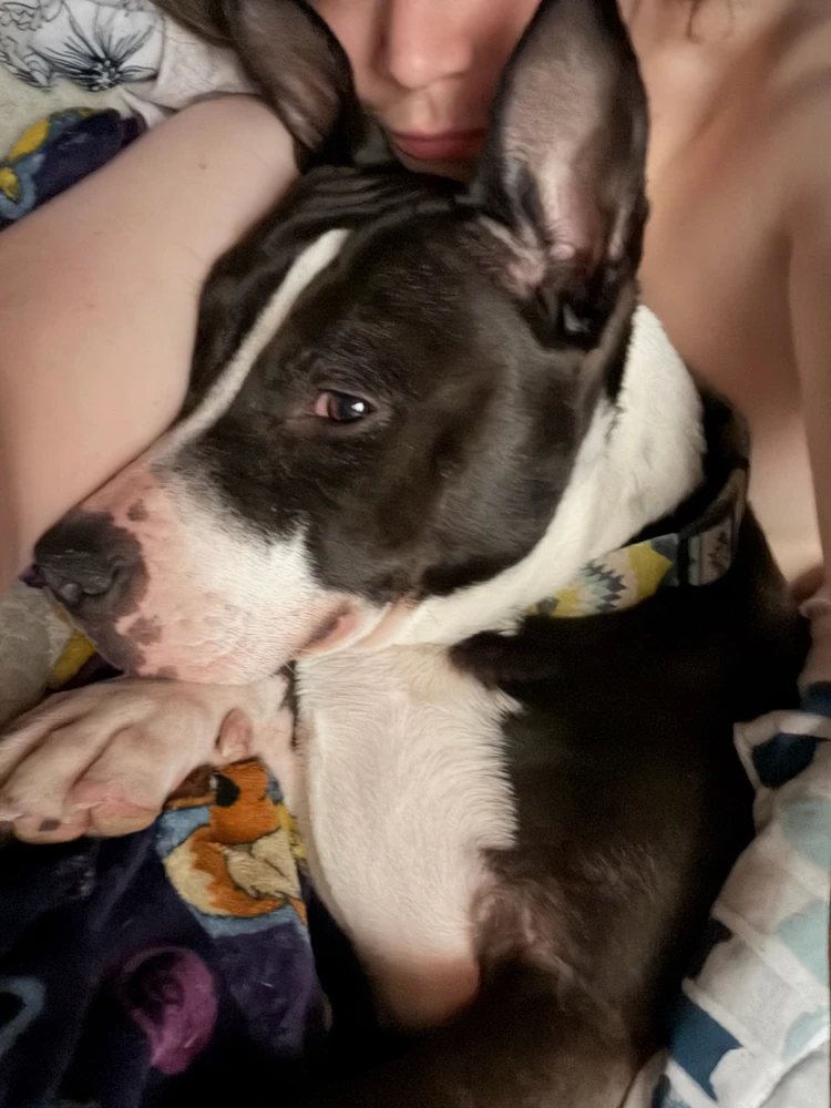 GIF uploaded by Andrew