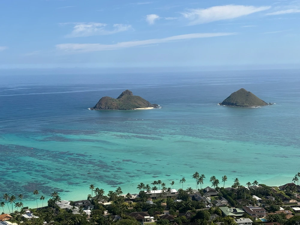 Image uploaded by Jen