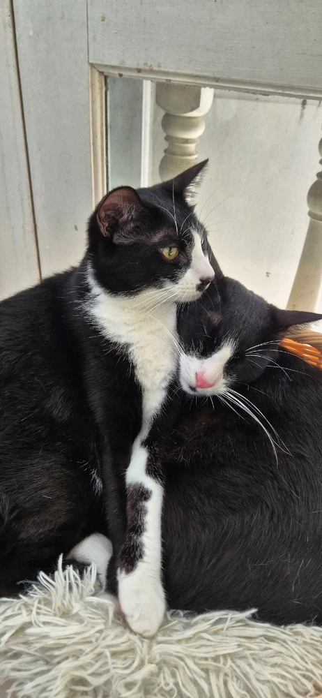 GIF uploaded by Caspy