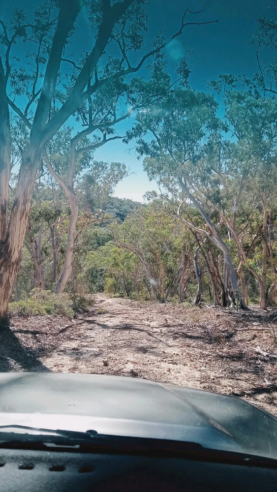 Image uploaded by Mikael