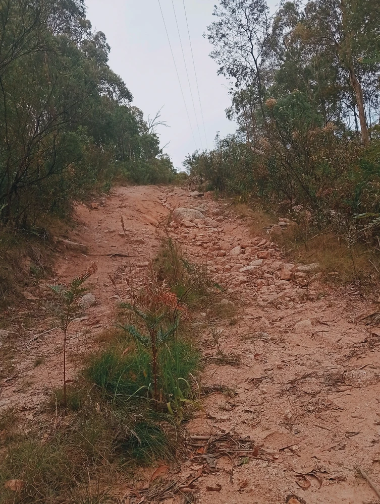 Image uploaded by Mikael