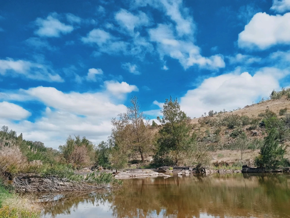 Image uploaded by Mikael