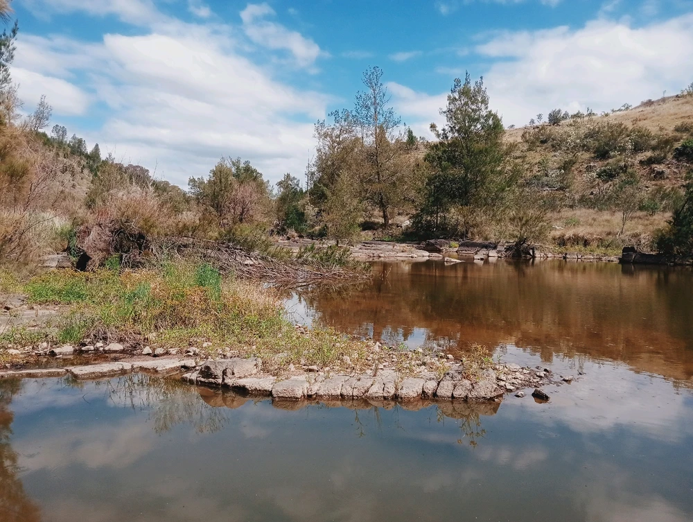 Image uploaded by Mikael