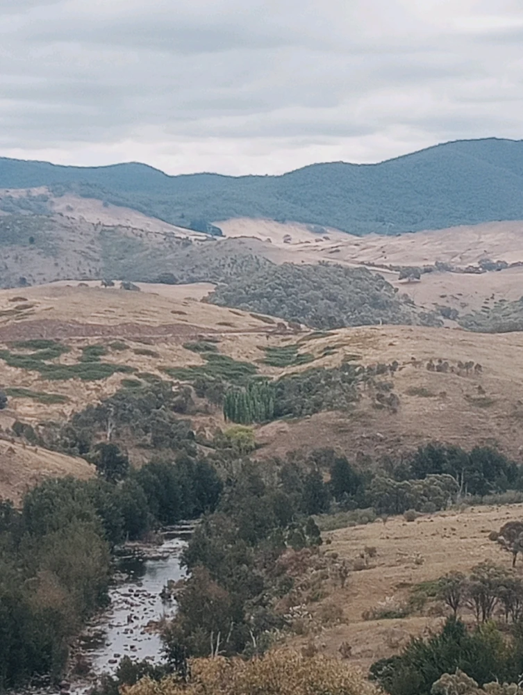 Image uploaded by Mikael