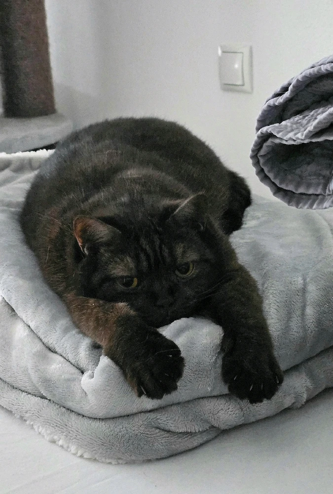 GIF hochgeladen von đđđ€đ€đđđ