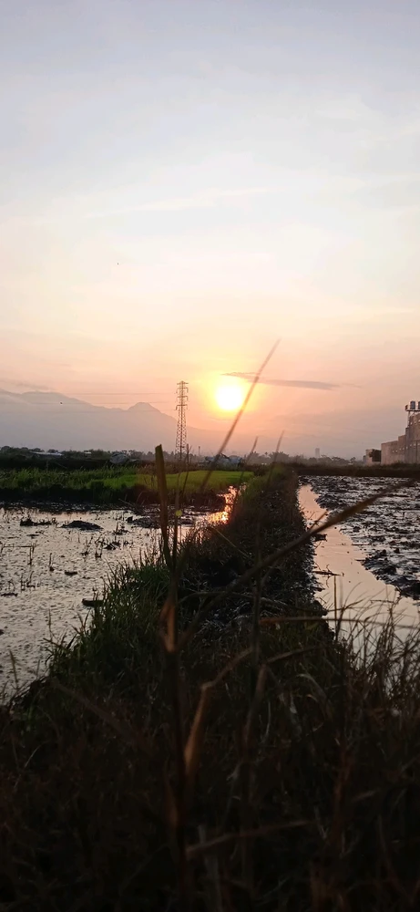 GIF diunggah oleh Niscala